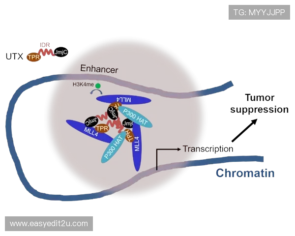 篮网队近期真实命中率波动加剧大数据模拟揭示潜在走势信号变化新