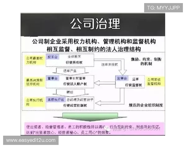 年度大型博彩平台系统延迟影响的全流程分析与治理研究机制与实践