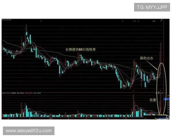 赛后视角下主流博彩平台活动参与技巧与完整全流程解析指南实战提升